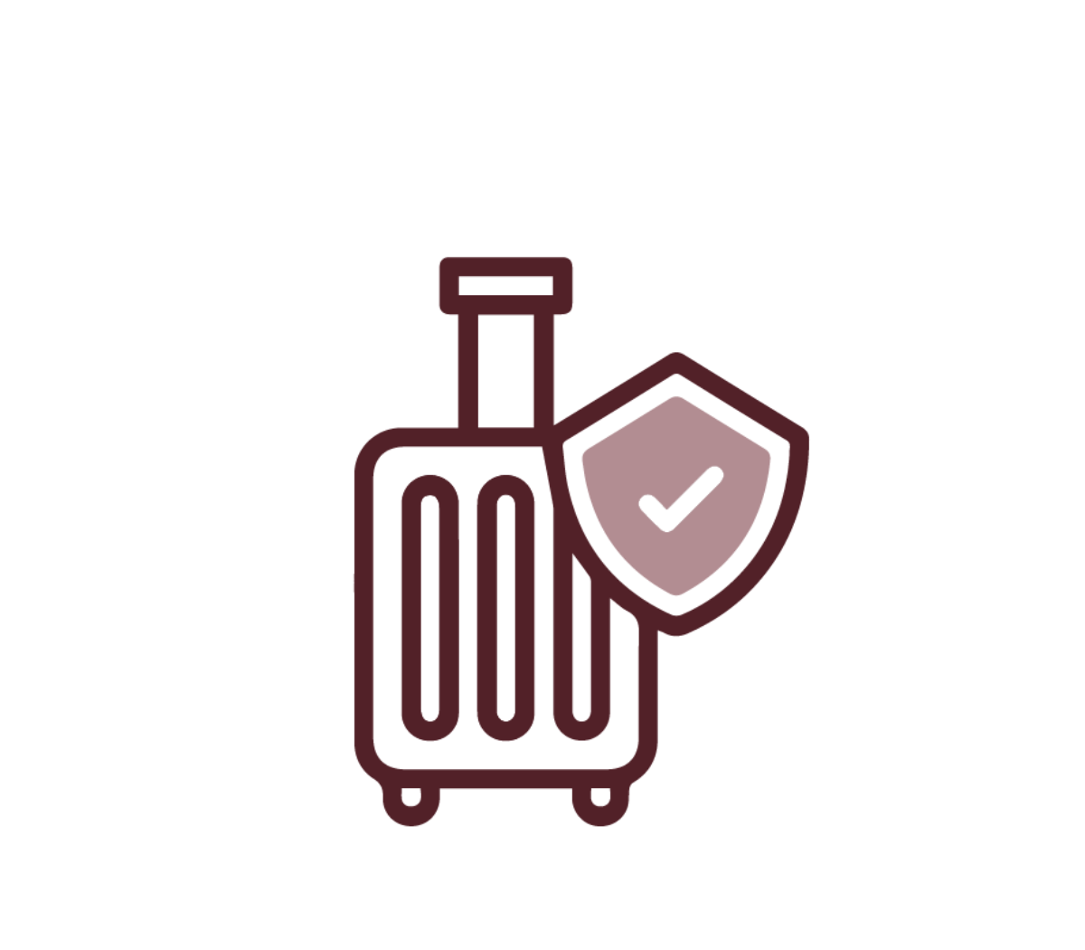 ​CONSIGNA EQUIPAJE​