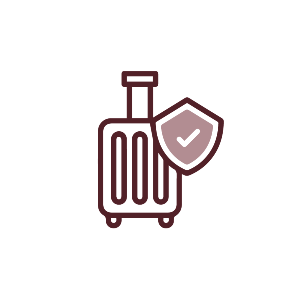 ​CONSIGNA EQUIPAJE​